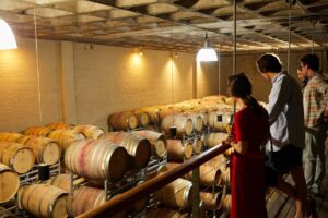 Wine Tour